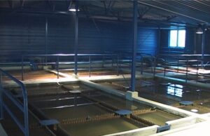 Oštećen deo vodovodne mreže u Zetskoj ulici