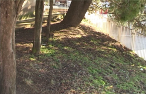 Telo muškarca nađeno u dvorištu škole