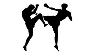 Deset medalja za niške kik-boksere