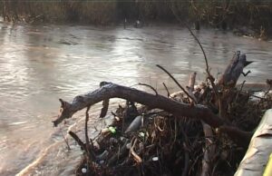 U Nišu i okolini bez opasnosti od plavljenja