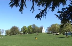 Besplatan prevoz do Kameničkog visa