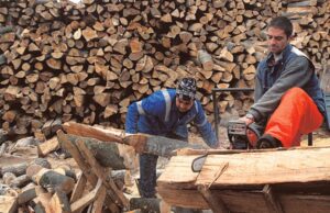 Koliko će nas koštati grejanje ove zime ?