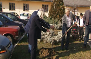 Posadili lipu kao znak dugovečnosti