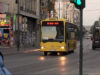 Zbog orezivanja drvoreda u centru privremena izmena trasa autobuskih linija danas do 13h