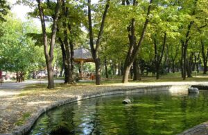 SNS – Promocija “ Pravih životnih vrednosti „