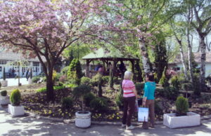 Cvetna oaza u niškoj Tvrđavi