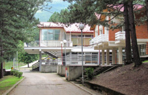 Ponovo radi Divljana