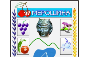 Nova vlast u Merošini