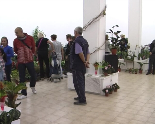 04112013_izlozba-cveca_nis_3