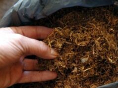 Uhapšeni nišlije zbog 236,1 kilogram rezanog duvana i 6.330 paklica cigareta Rezani duvan