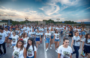 Nišville volonterski tim 2018 prijavljivanje volontera do 6. jula