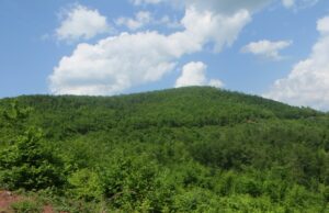 Prelazak planine Kalafat – od Knez sela do naselja „Branko Bjegović“