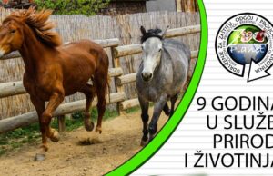 9. rođendan Udruženja ZooPlanet Niš