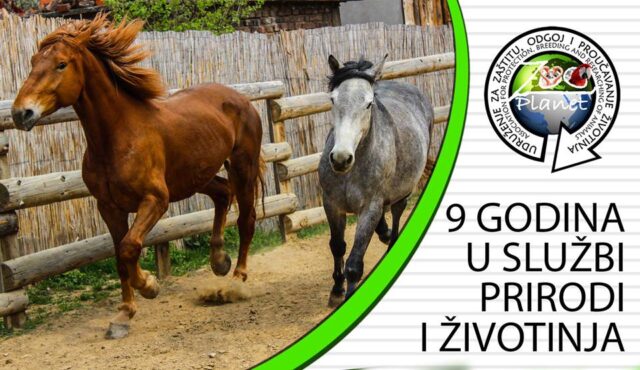 37586667_2233683403340427_7538554098614796288_n