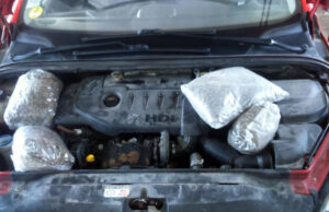 Uhapšen M.R. (1972) iz okoline Gnjilana zbog posedovanja devet kilograma marihuane