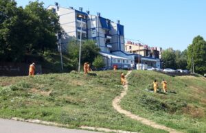JKP Medijana uređenje ulice – Nosilaca Karađorđeve zvezde
