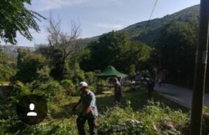 JKP „Mediana“ – sređivanja  Proseka