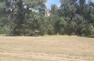 JKP “Mediana” Niš – uklonjena divlja deponija kod DIS-a