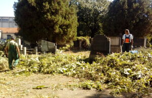 Nastavljeno uređenje starog groblja