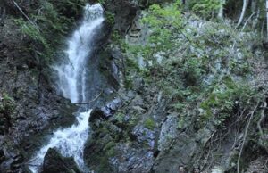 Održana planinarska akcija na Kopaoniku