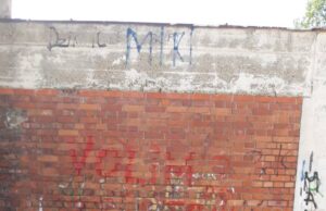 JKP Mediana Niš – čišćenje i transport nesavesno odloženog komunalnog i kabastog otpada