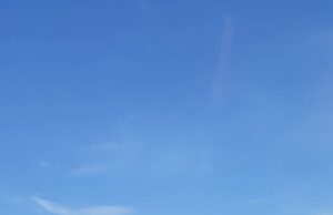 JKP Mediana Niš – očišćena divlja deponija u Čokotu