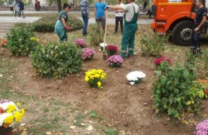 JKP Medijana sadnja jesenjeg rasada za lepši Niš