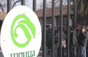 ŠTO da ne KAŽEM – VREME JE ZA “OPASULJIVANJE”