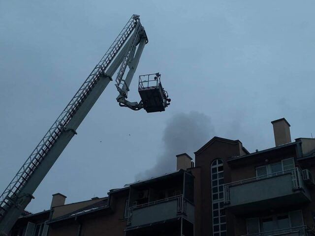 50527385_1957226671019937_7625526971610431488_n