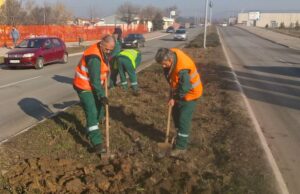 JKP “Medijana” radi na obnovi zelenila, uređenju drvoreda ,parkova i međublokovskih prostora