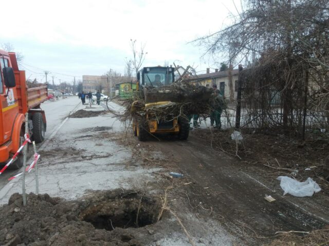 IMG-c11c52c5d1466d4cbeeb2d3c06e35b7f-V 2