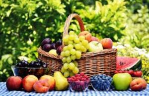 Danas savetovanje u Nišu – Stanje voćarske proizvodnje juga Srbije i prednosti udruživanja