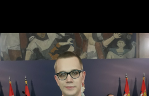 PREDSEDNIK SRBIJE ALEKSANDAR VUČIĆ ODLIKOVAO SREBRNOM MEDALJOM ZA ZASLUGE JOVANA MILIĆA, STUDENTA IZ NIŠA