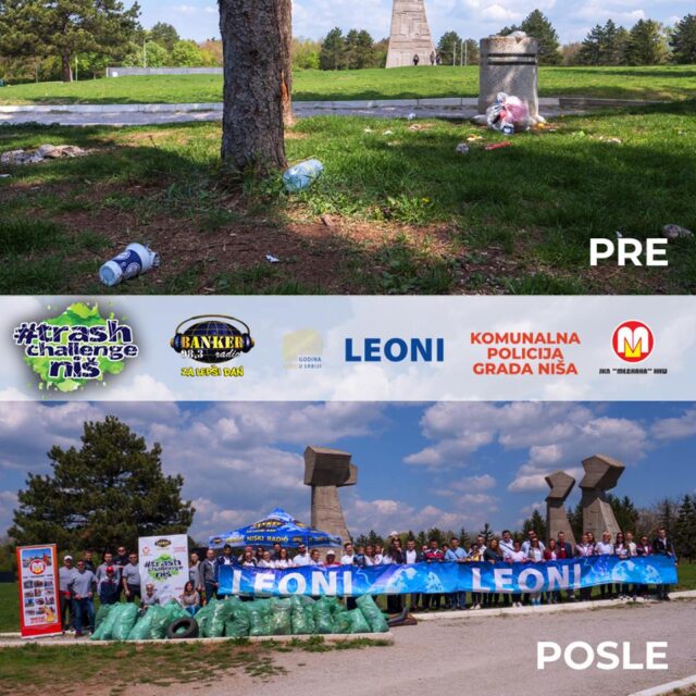 57503871_10155845146101260_253227891632898048_n