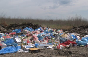 ŠTO da ne KAŽEM – NEKO TREBA PRVI DA POČNE Divlje deonije