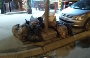 JKP „Mediana“ Niš i Komunalna policija grada Niša na terenu za bolje uređenja grada Niša