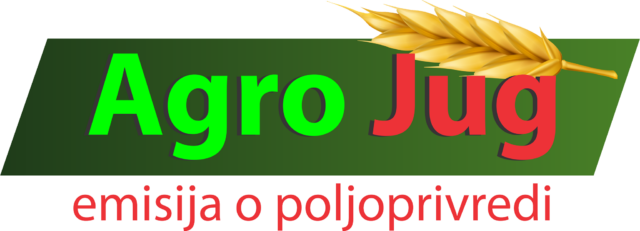 56252775_1279208745568731_2614648722549637120_n