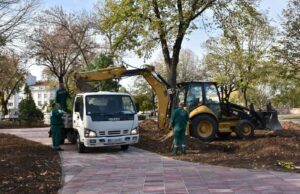 Jedan izgrađen stan – jedna donirana sadnica. Nove obaveze za investitore u Nišu Orezivanje drveća