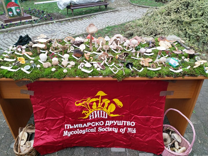 Gljivarsko drusštvo Niš