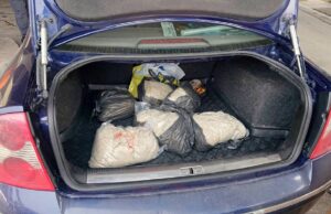 Zaplenjeno 150 kilograma creva za kobasicu