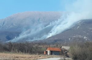 Požar zahvatio obronke Suve planine Požar na Suvoj planini