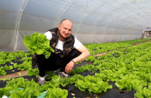 Aleksandar iz Niške Banje poklanja 3.000 zelenih salata i 6.000 rotkvica