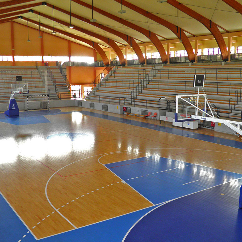 Hala Duško Radović