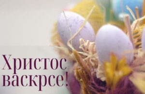 Čestitka poverenika SNS-a u Nišu