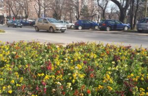 Krenulo prskanje protiv krpelja, oprez za ljude i životinje