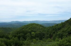 Nišlija nestao na izletištu Ploče