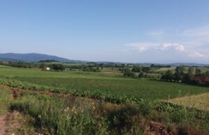 Potraga za nestalim lekarom u okolini Ražnja i dalje bez rezultata