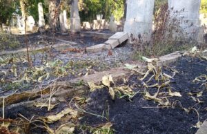 Vatrogasci spasili Staro groblje od većeg požara