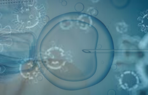 Korona zaustavila proces vantelesne oplodnje