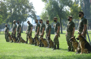 Vulin u Nišu: Centar za obuku pasa značajno unapredio rad